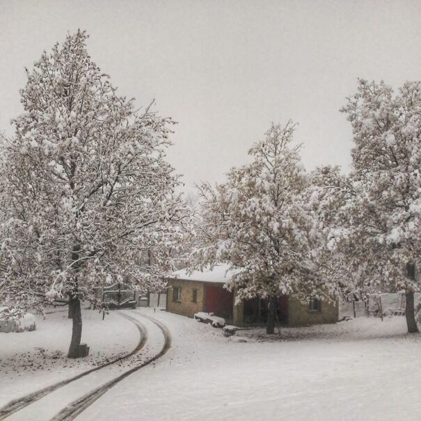 La ghiandaia_casa vacaza berceto d'inverno