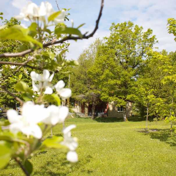 La ghiandaia_esterno (1)