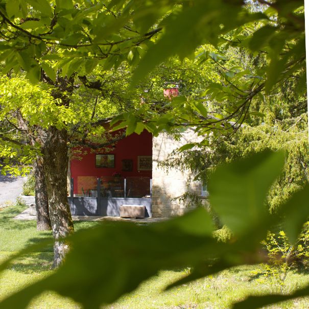 La ghiandaia_esterno (2)