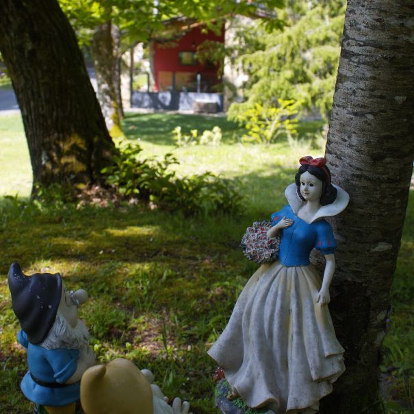 La ghiandaia_esterno (3)