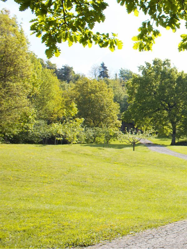 La ghiandaia_casa vacaza berceto estate_giardino verde