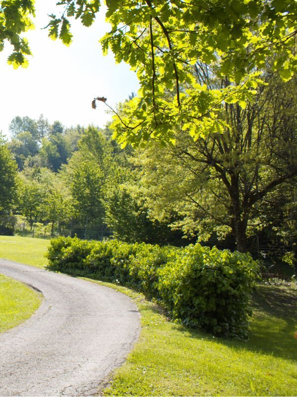 La ghiandaia_casa vacaza berceto estate_giardino verde