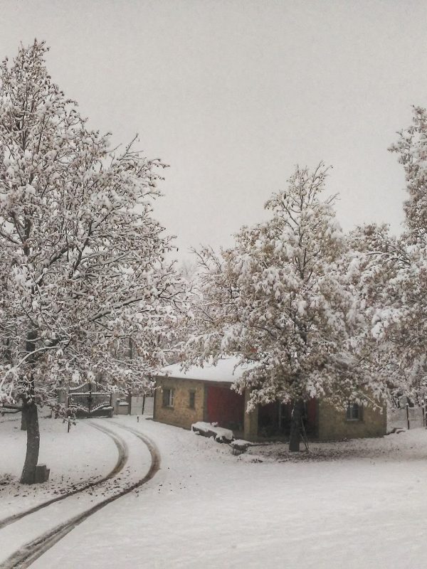 La ghiandaia_casa vacaza berceto d'inverno